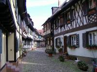 Gengenbach (17)